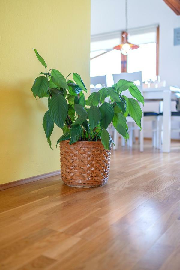 Apartman Skroza Водице Экстерьер фото